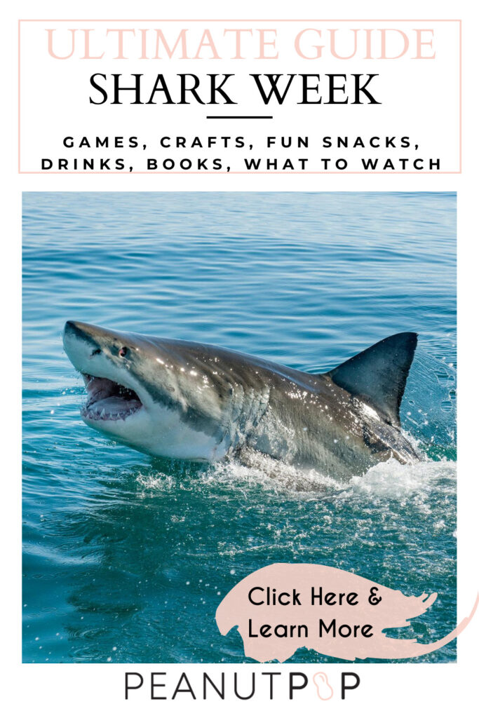 Ultimate guide to Shark Week