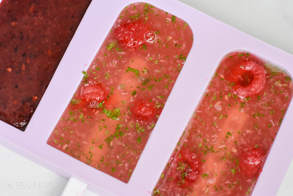 Summer Frozen Refreshing Fruit Popsicles